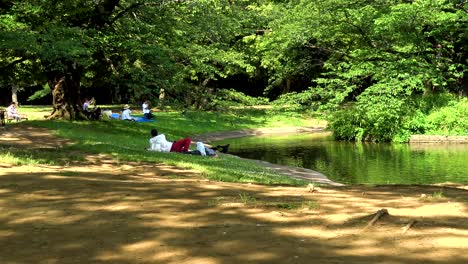 Ein-Paar-Bei-Einem-Picknick-Im-Yoyogi-Park-Herauszoomen-Und-Krähen-Beim-Trinken-Und-Baden-Zusehen