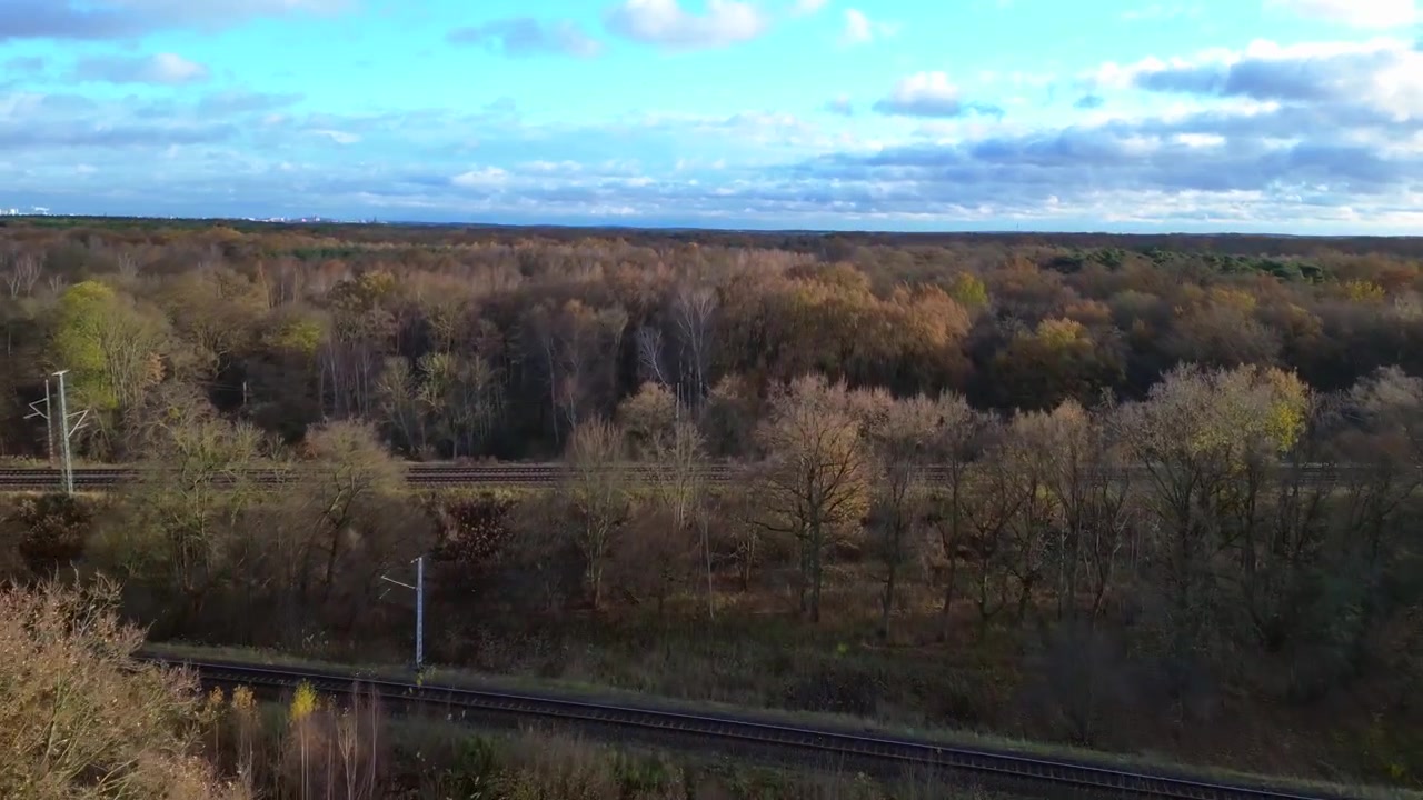 scenery of vast woodland in fall season, featuring vibrant foliage under a dramatic sky. Beautiful aerial view flight overflight flyover drone
