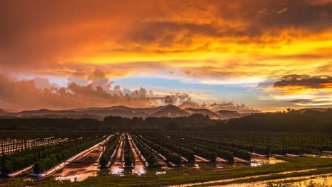 Zeitraffer-Von-Wolken-über-Blue-Ridge-Mountains-In-Asheville,-North-Carolina