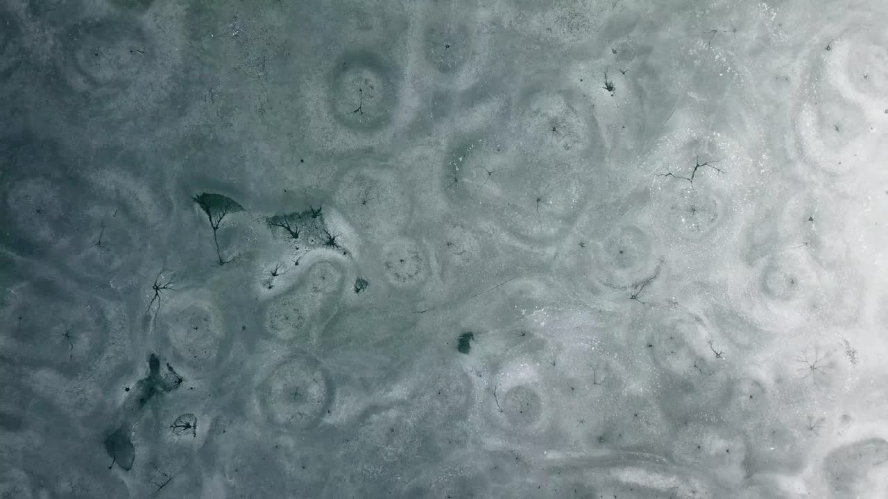 toma aérea de arriba hacia abajo de un lago apenas congelado con juncos y pinos, szűcsi, hungría, europa