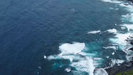 drone aerial beach pan up black sand hawaii