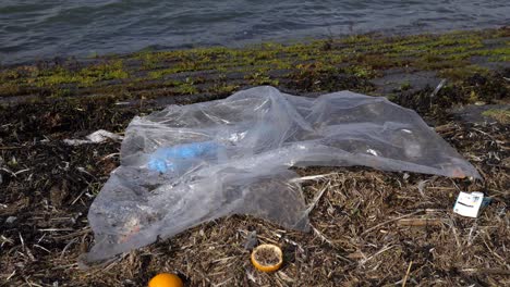 plastic rubbish on seashore. wadden sea. netherlands