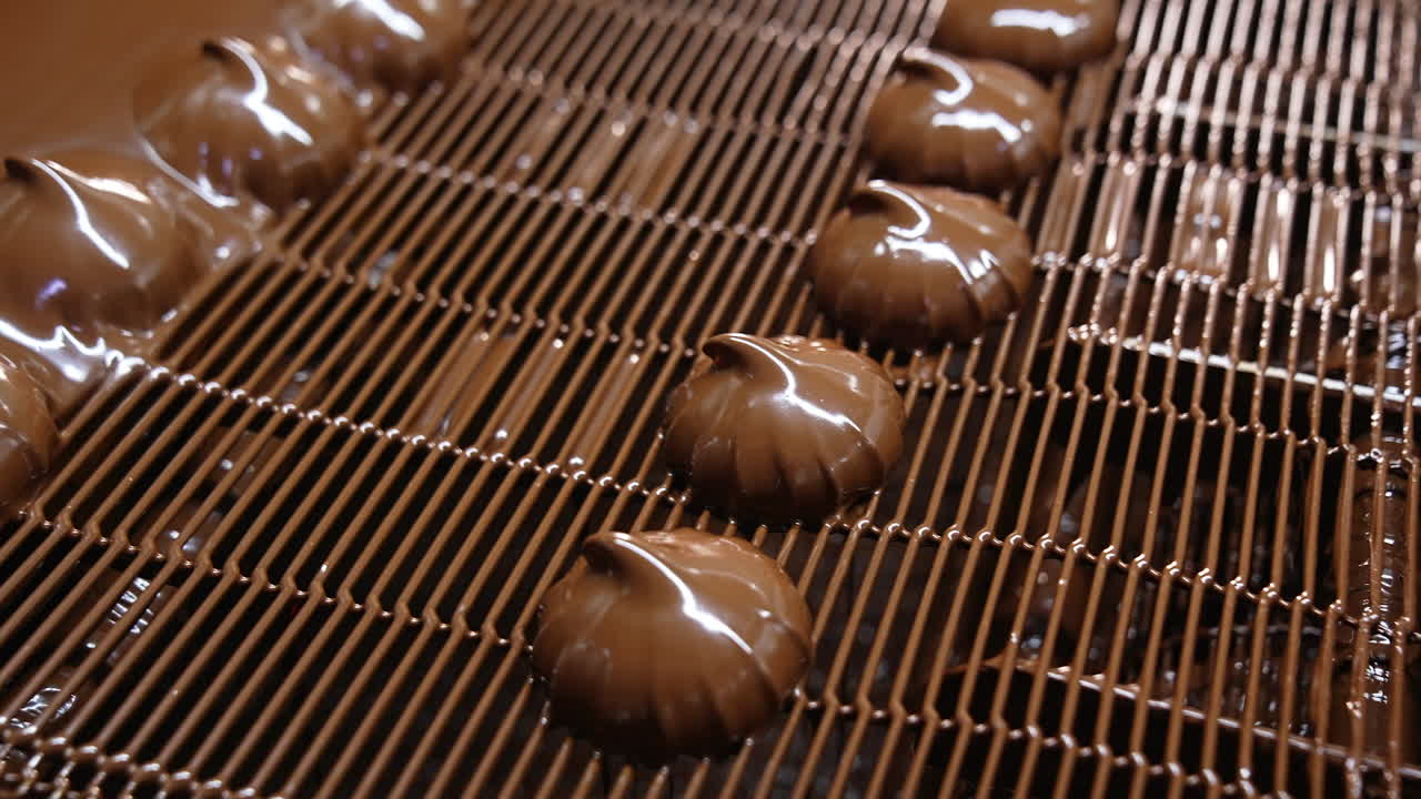 Marshmallows just coated with chocolate are on conveyor line. Tasty sweets production at the factory. Close up.