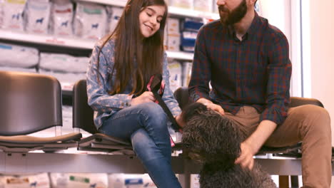 family enjoying together with their dog