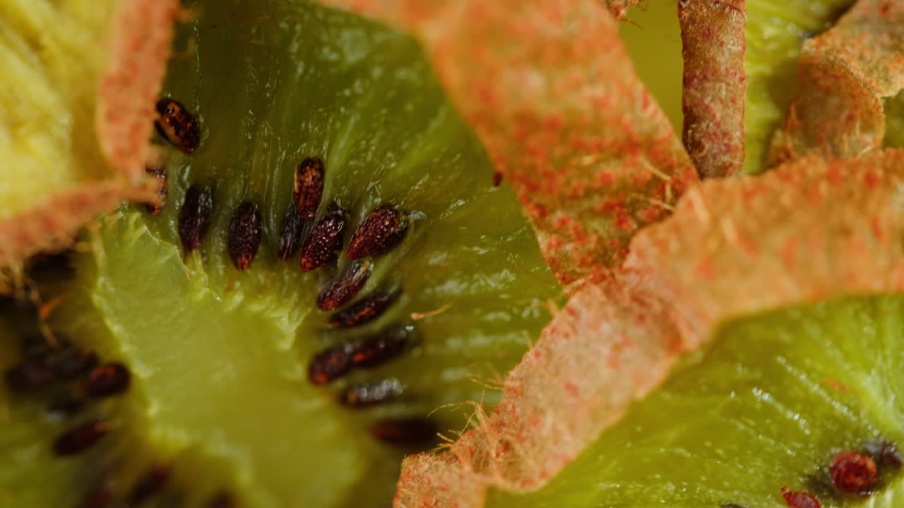 kiwi slices close up background of green, fresh fruit texture.