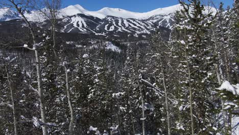 slowly rising over the aspen tress to reveal breckenridge ski resort