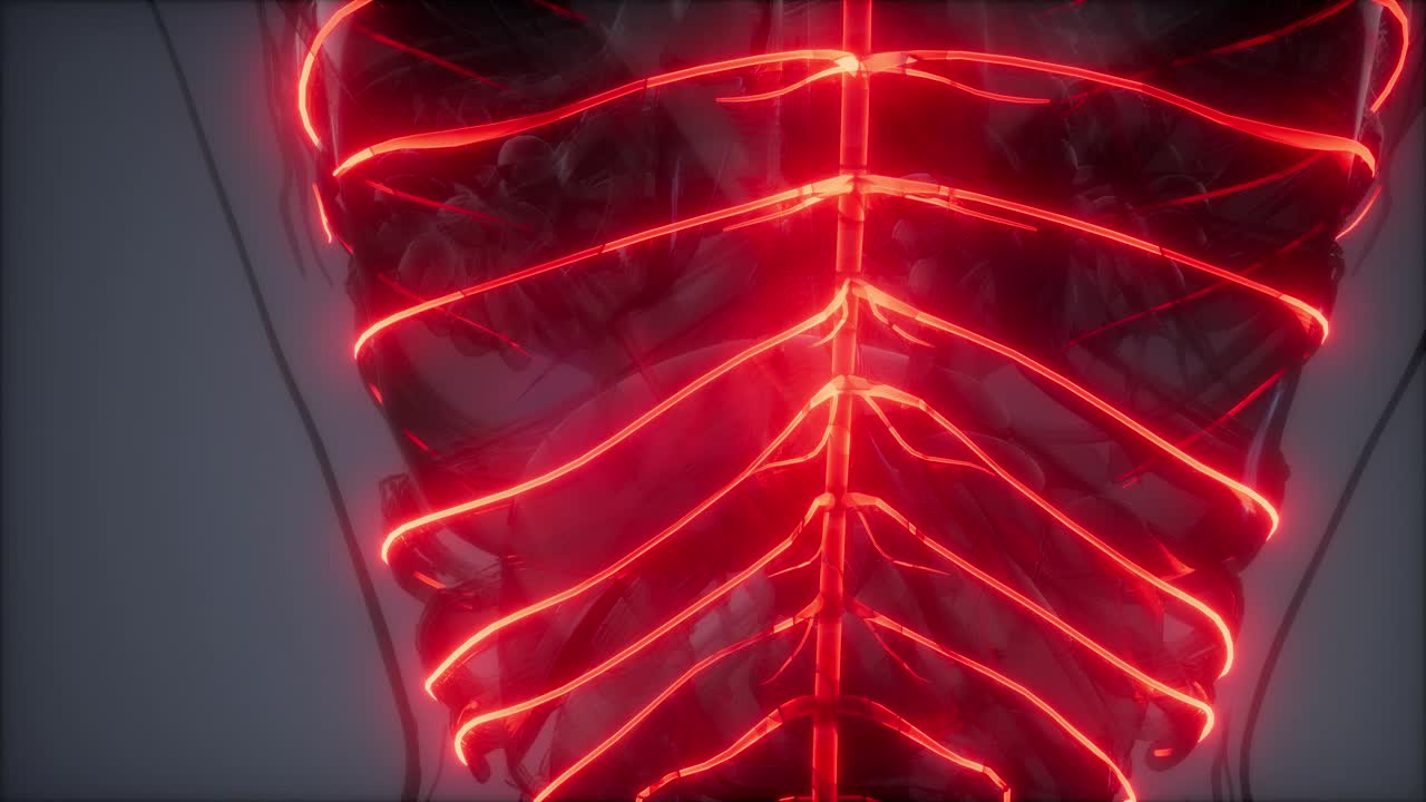 Esame radiologico del cervello umano