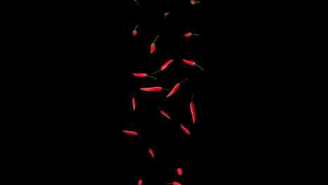 red chili falling down with alpha channel