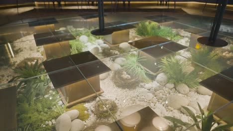 restaurante de piso de vidrio con plantas decorativas y rocas