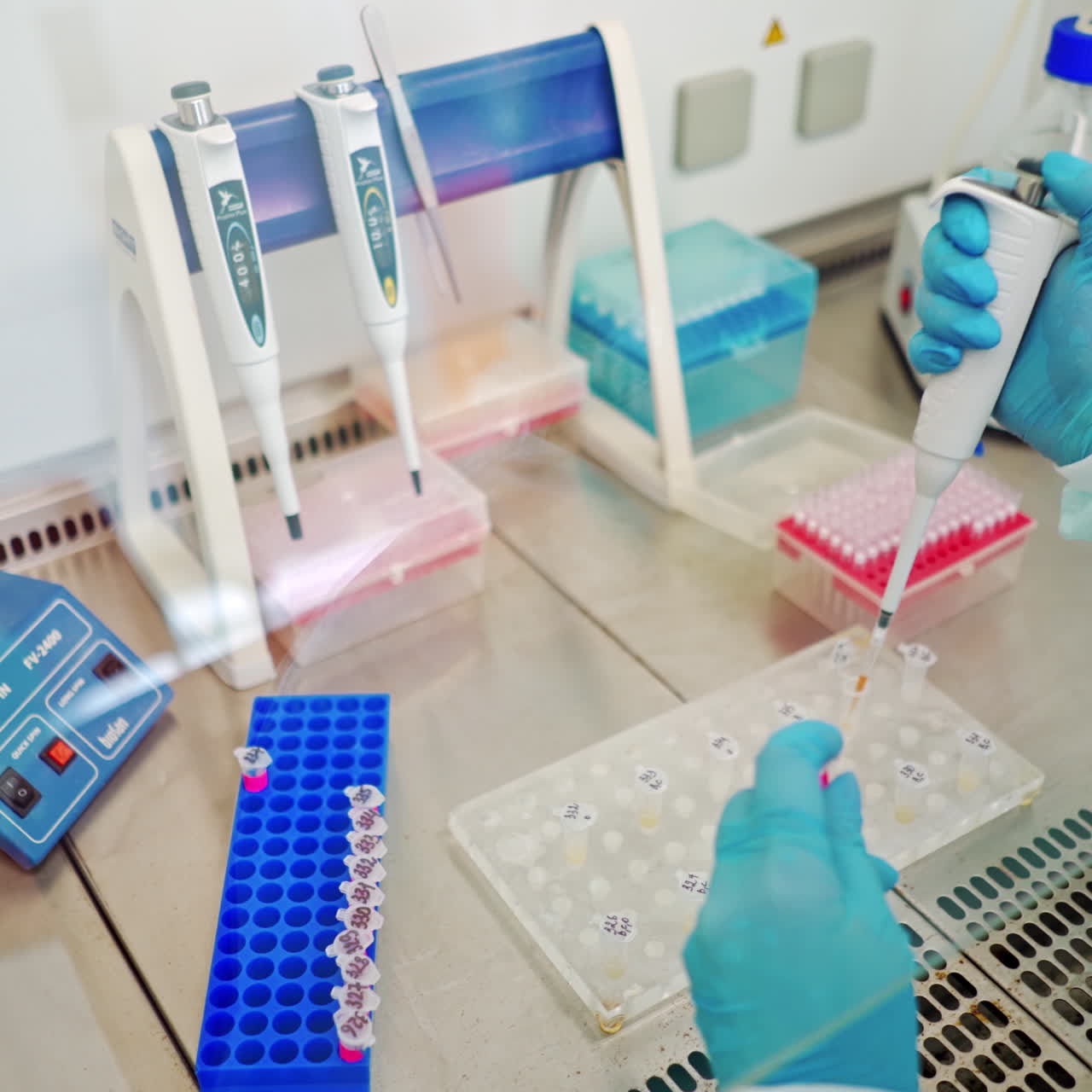 Hands in blue protective gloves of medical assistant working with test tubes. Researcher dripping liquid into vials with special instrument. Close-up.