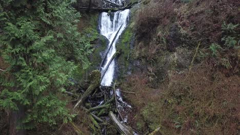 Cascada-En-La-Selva-Verde-Hd