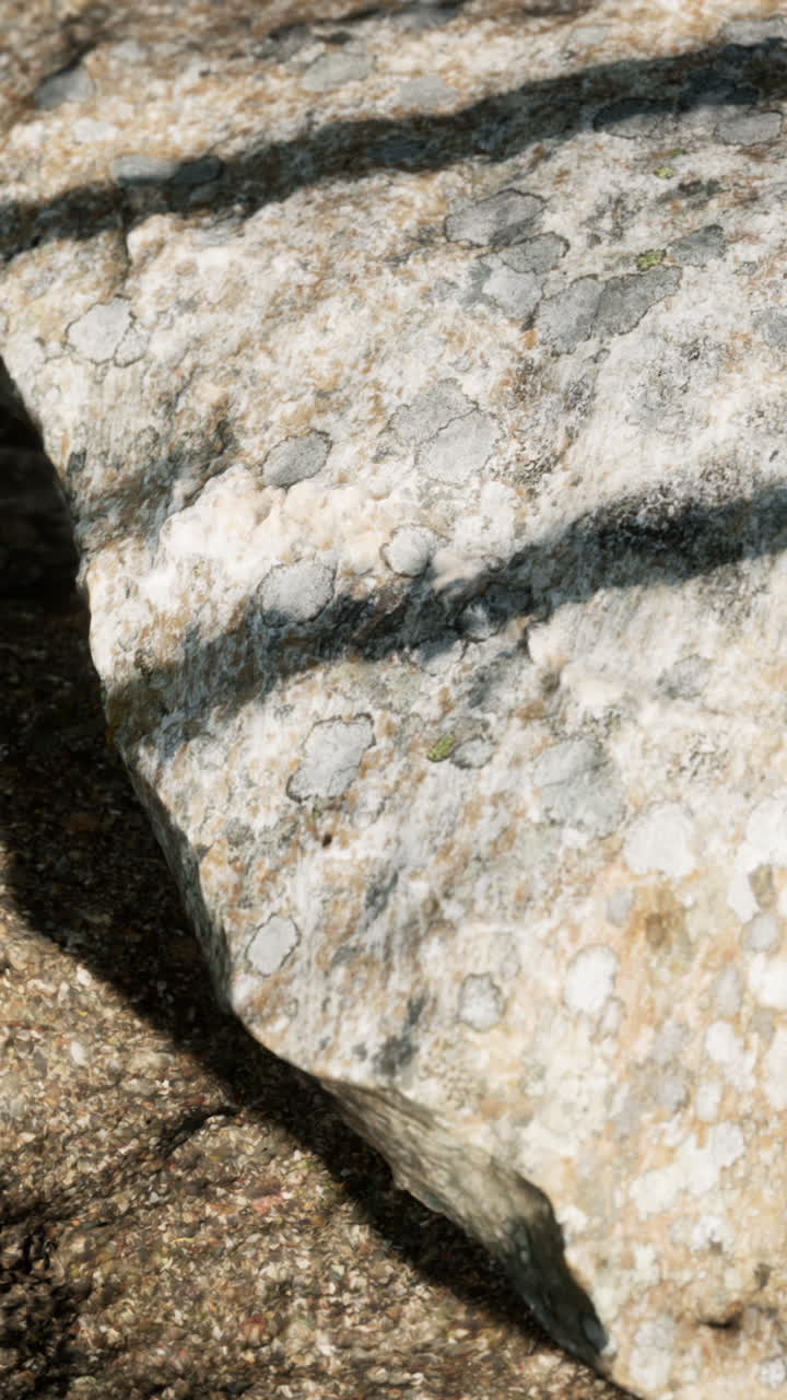 Close-up of a Lichen-Covered Stone