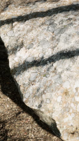 primer plano de una piedra cubierta de líquenes