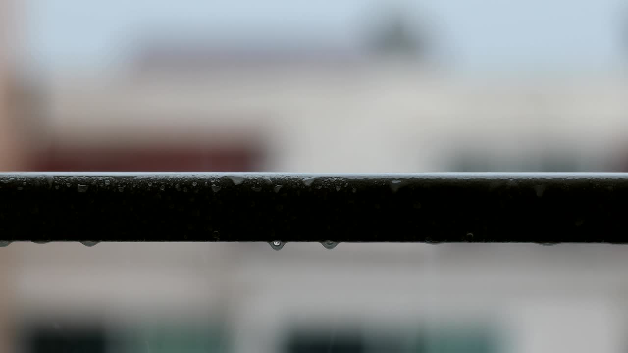 방울이 매달려있어요