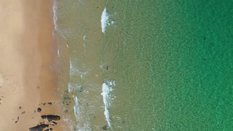 Male-walking-through-waves-in-tropical-turquoise-sea,-aerial-top-down-beach-view