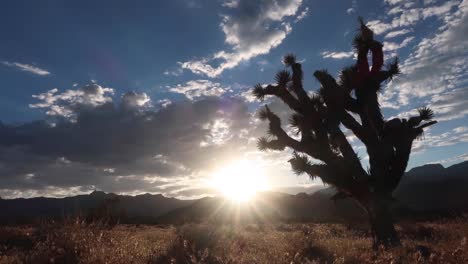 red rock canyon