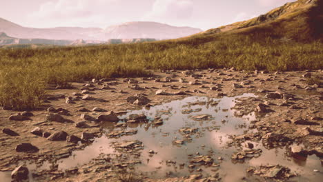 serene landscape with muddy path and puddles