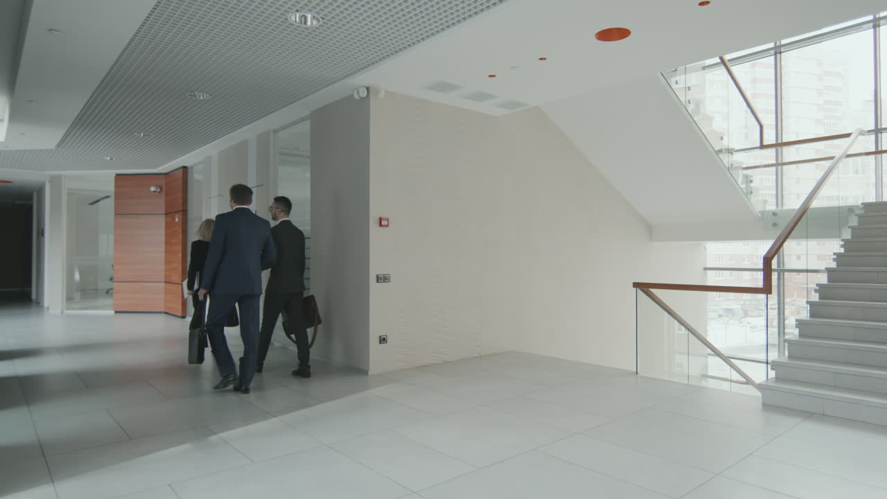 Lawyers Going on Work in Office