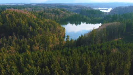 4k uhd aerial drone flight moving above a green forest, a lake and tree tops in a national park bavaria in spring in germany