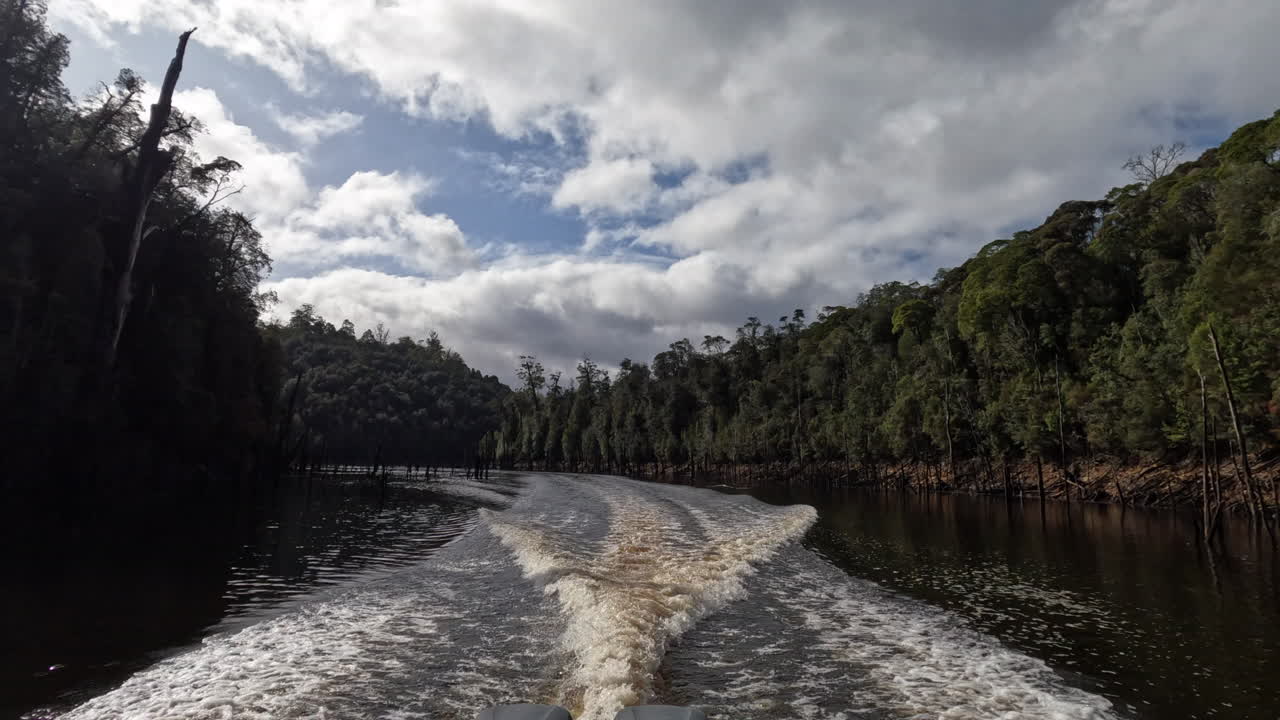 viajando en un bote por un río a través del bosque en el desierto