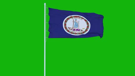 virginia flag waving on wind on green screen or chroma key background