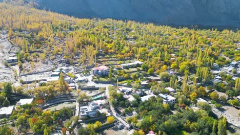 pan shot of skardu valley filled with beautiful yellow trees in pakistan