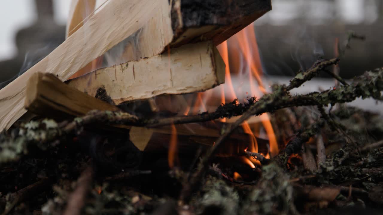 Close-up of campfire with white birchwood, slow motion
