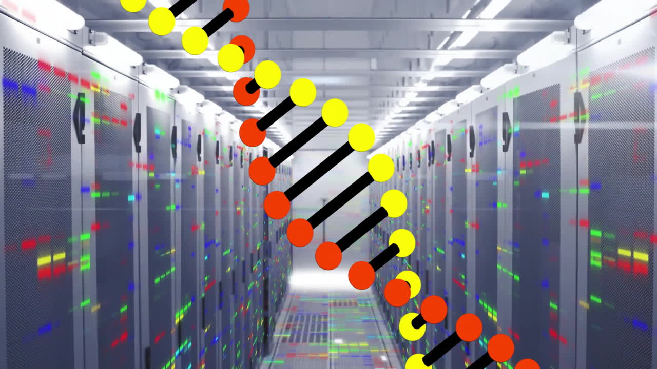 DNA strand and binary coding, scientific data processing animation in server room