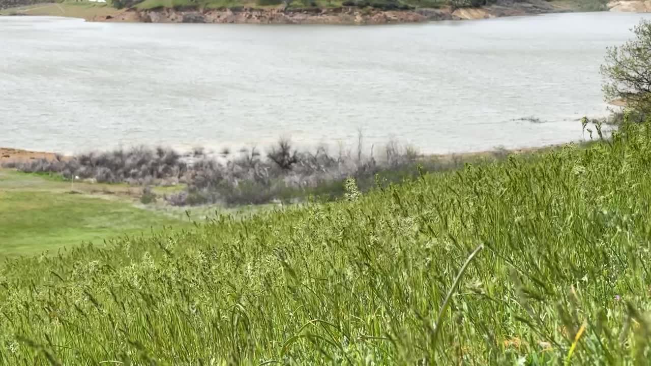 Low-angle view of a grassy hillside of Emigrant Lake in Southern Oregon.