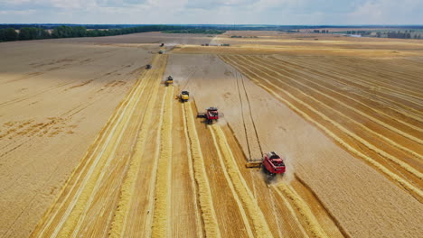 harvesting of wheat. a combine harvester and a tractor drive through the wheat field. aerial view