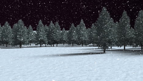 snow falling over multiple trees on winter landscape against black background