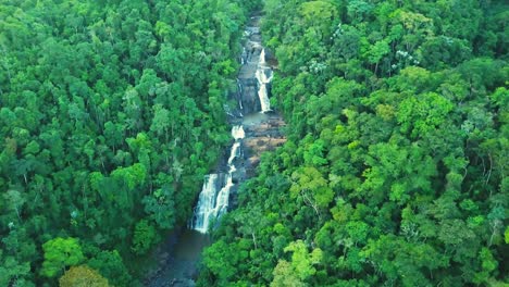 incredible green brazilian rainforest and waterfall in summer, aerial 4k shot