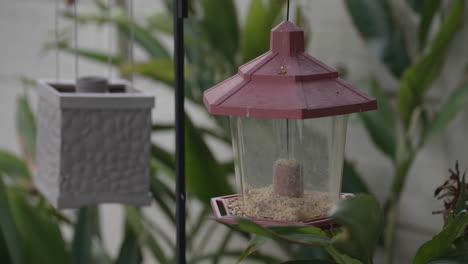 sad close-up of two bird feeders with no birds