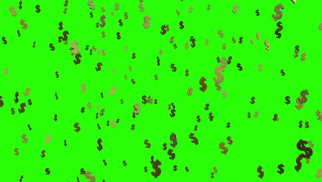 golden dollar symbols falling on the green background. 4k