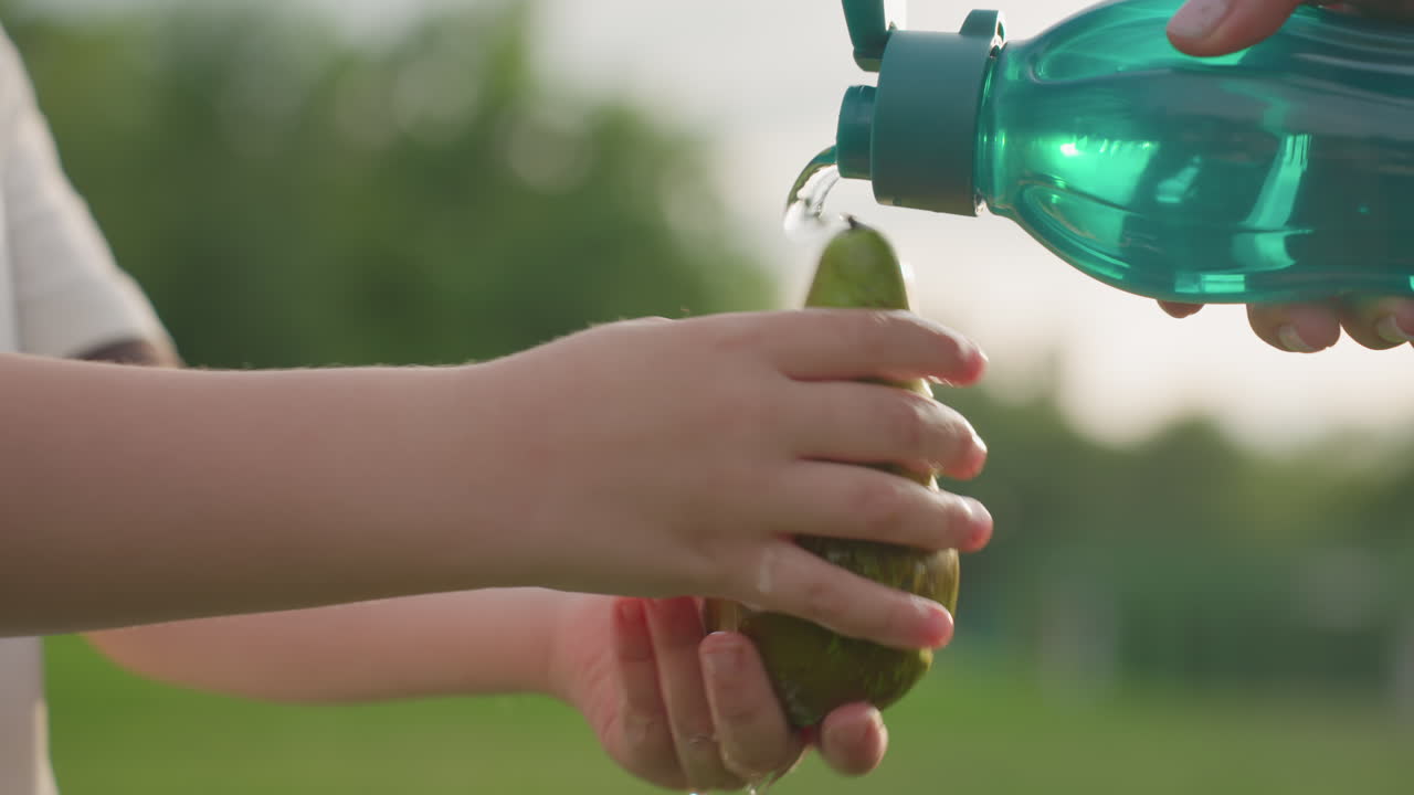 toddler holding pear while adult pours water from can, washing dirt from fruit with small hands in sunny park, close up of playful care for healthy snack