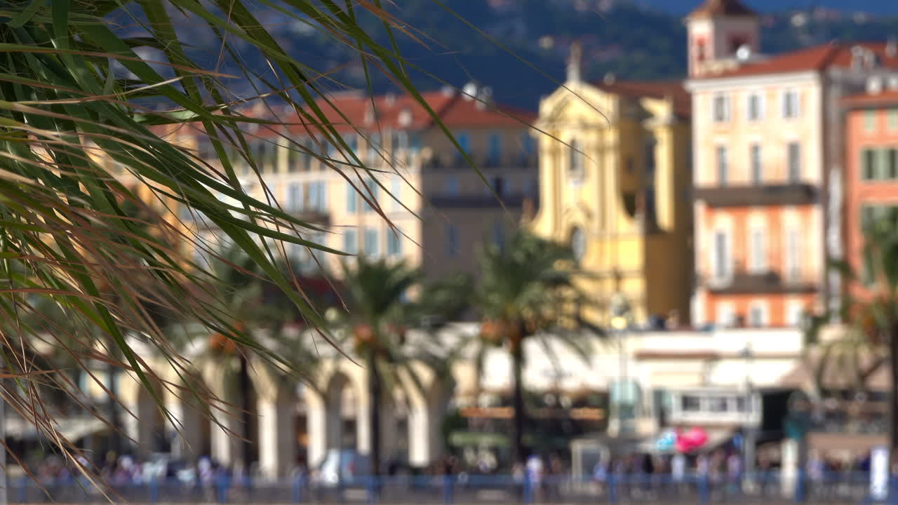 Palm leaves in front of a panoramic view of Nice's beach, palm-lined promenade, and pastel colored buildings with the hills in the background