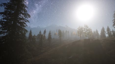 Milky-Way-stars-with-moonlight-above-pine-trees-forest