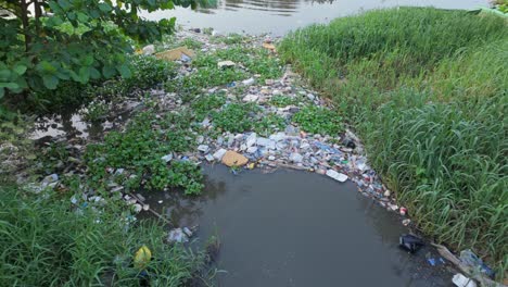 Aerial-footage-of-pollution-along-the-Isabela-River,-showing-plastic-waste,-black-water-flowing-from-a-stream,-and-an-area-affected-by-pollution-with-white-spots-of-debris-and-environmental-damage