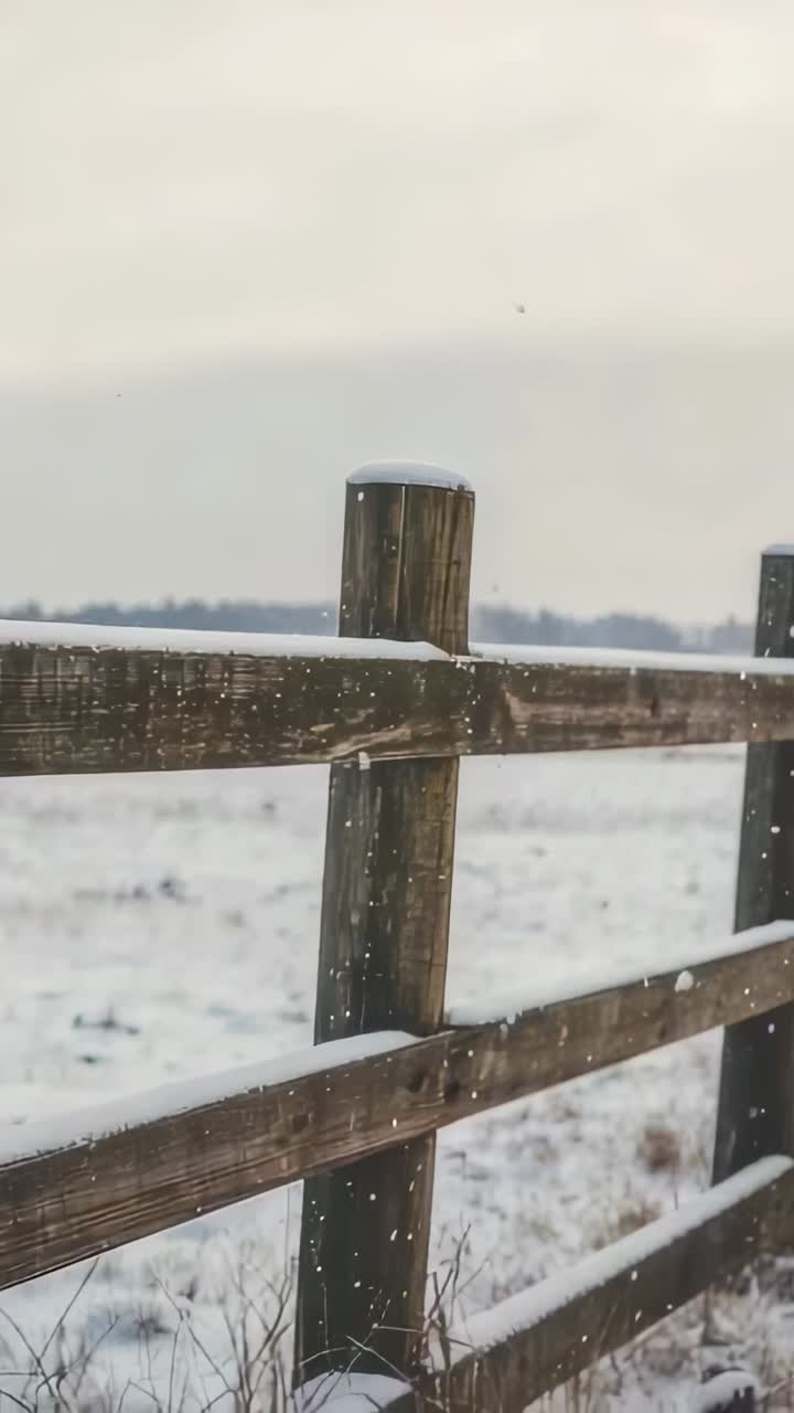 Video verticale: telecamera panoramica che mostra una staccionata in legno su un campo innevato per evidenziarne la texture