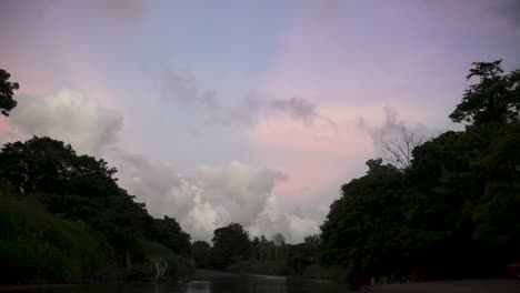 view of the tarcoles river vegetation in costa rica with pink sunset clouds behind, wide locked shot