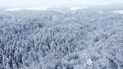 beautiful white forest winter wonderland in switzerland - aerial reverse