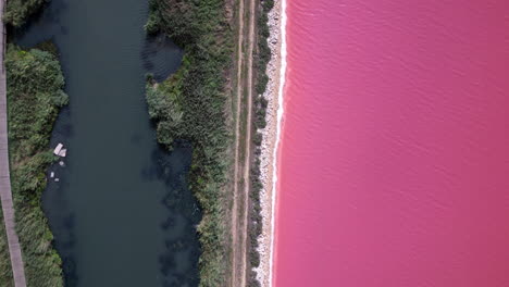 drone shot of a river and the pink ocean on the other side