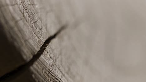 close-up of wood texture