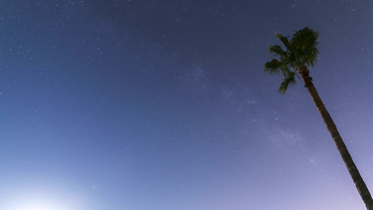 은하수는 오른쪽 전경에 큰 손바닥 하나가 있는 맑은 하늘을 가로질러 움직입니다.