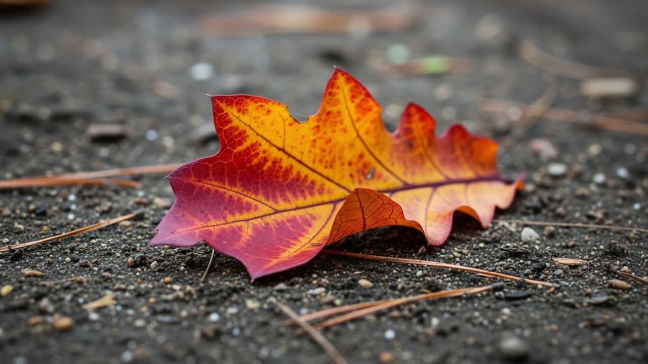 Vibrant Autumn Leaf Resting on Earth: A Close-Up Look at Nature's Colorful Transition from Summer to Fall with Rich Textures and Warm Hues