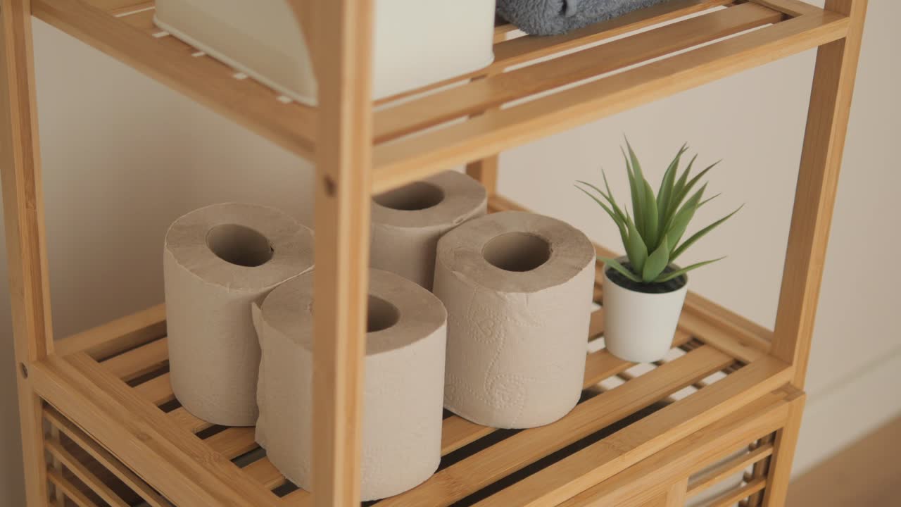 Bathroom Storage Shelf with Toilet Paper and Plant