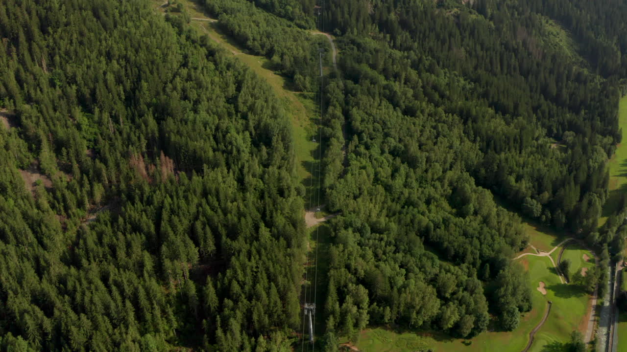 disparo aéreo sobre una góndola de teleférico a través de un bosque de pinos