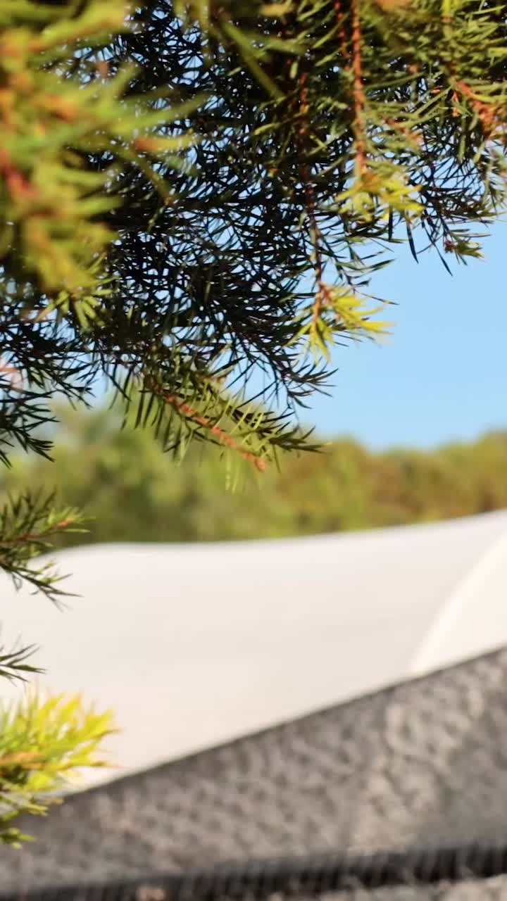 동물원 환경의 나무와 구조물