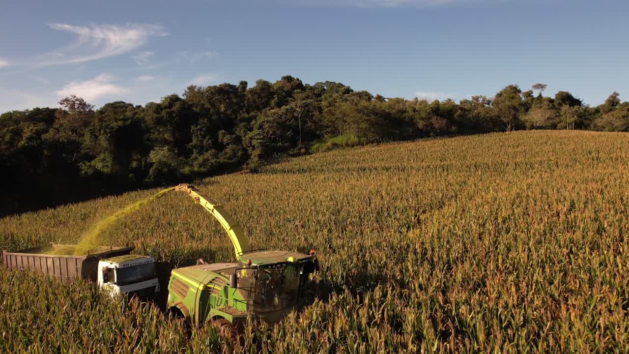 tractor con remolque cosechando sobre campos de alfalfa durante la puesta de sol