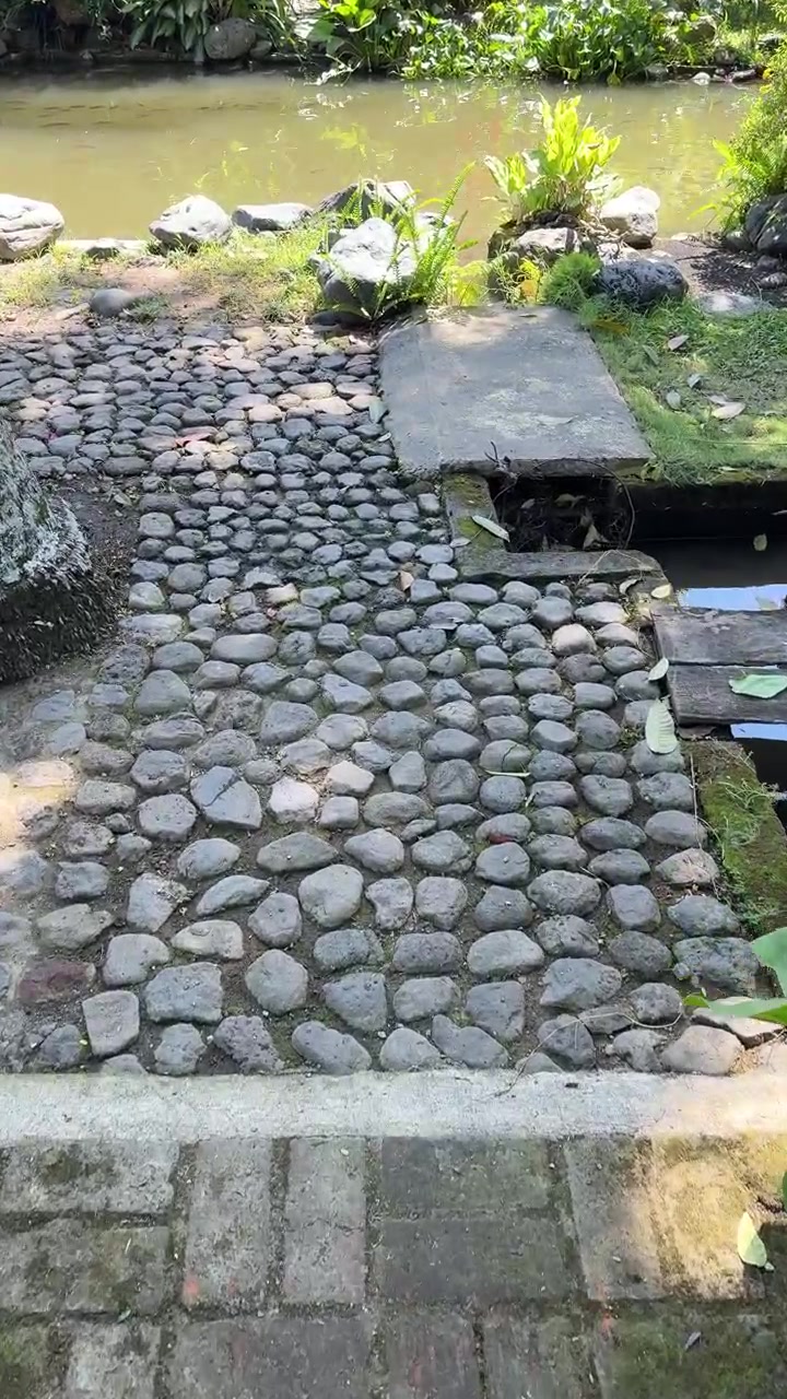 Walking Along a Stone Path in a Peaceful Garden